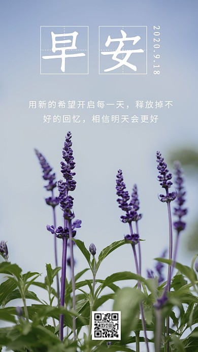 简约摄影背景早晚安签到海报