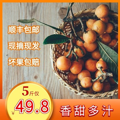 橙红色枇杷水果主图直通车