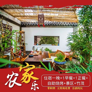 农家乐旅游山庄民宿山村纯玩主图