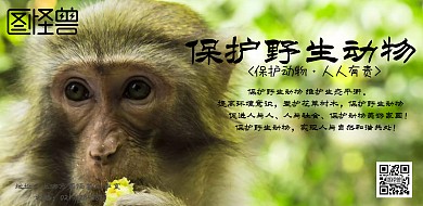 简约雪地保护野生动物横图海报