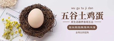 五谷鸡蛋促销简约清新褐色banner