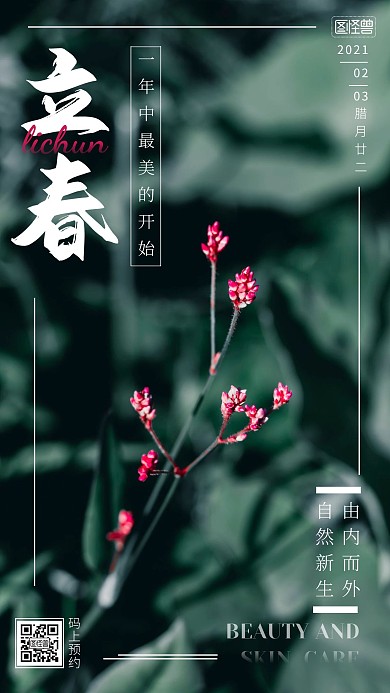 绿色唯美立春美容借势营销摄影图海报 