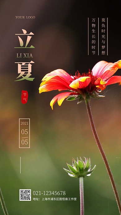 立夏二十四节气祝福简约花朵摄影图海报
