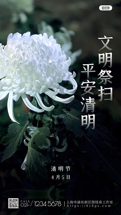 简约创意文明祭扫平安清明摄影图海报