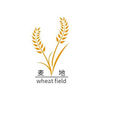 简约麦迪logo