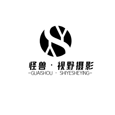 logo设计生成SY黑色系几何创意