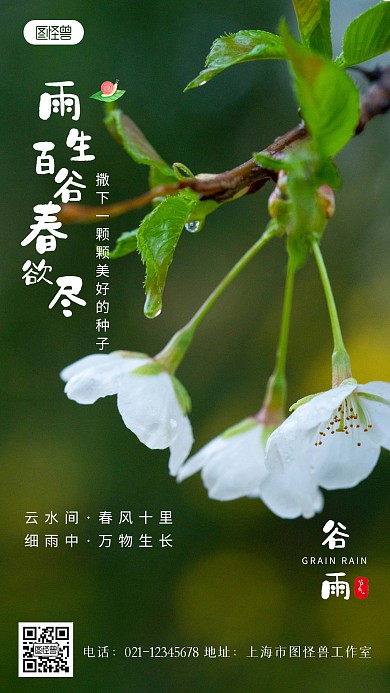 谷雨24节气绿色简约风摄影图海报