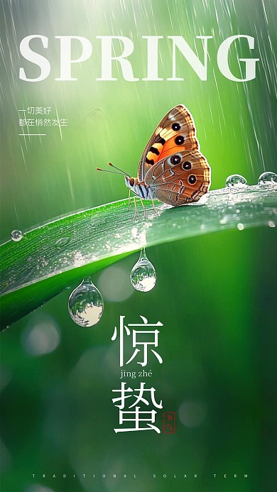 原创清新简约风惊蛰节气手机海报