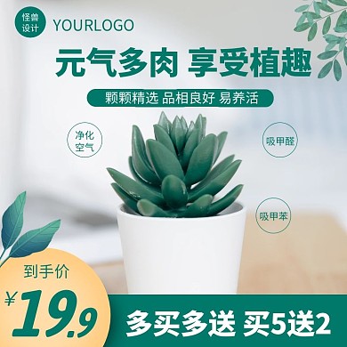 价格模板植物电商主图