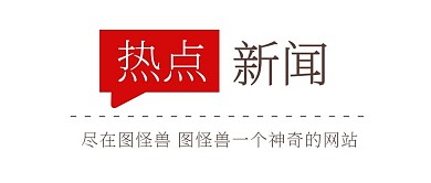 居中文字简约公众号栏目logo