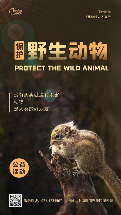 野生动物保护公益活动松鼠宣传摄影图海报