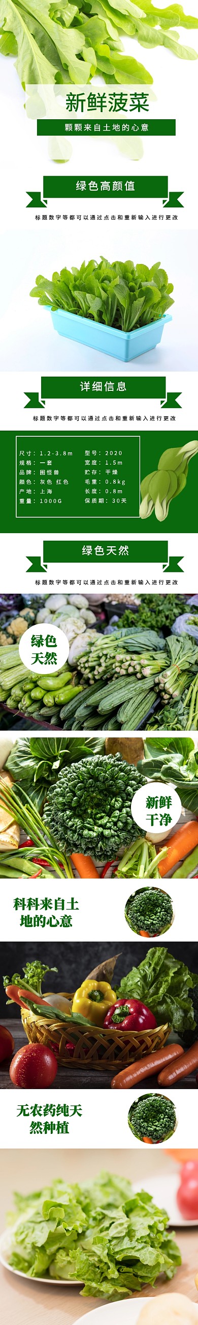 绿色简约菠菜详情页