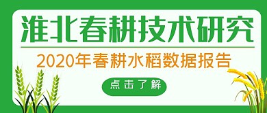 春耕水稻技术研究简约绿色红包首图设计
