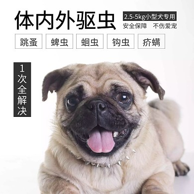 简约宠物体内外驱虫直通车主图