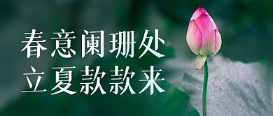 立夏节气祝福荷叶实景公众号封面