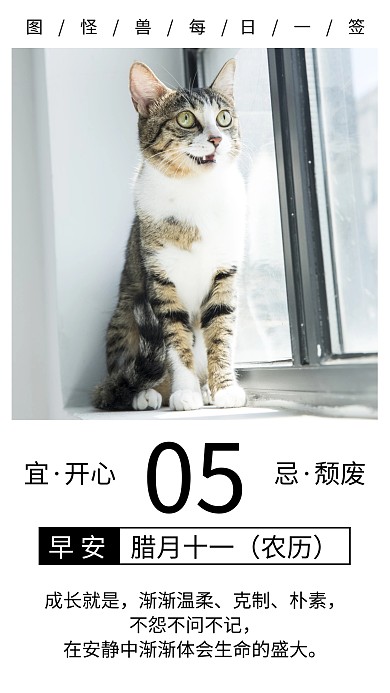 简约猫咪每日一签