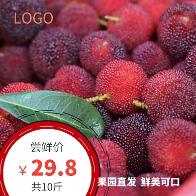杨梅活动促销主图