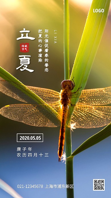 简约蜻蜓立夏节气手机海报