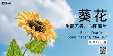 向日葵简约蓝色励志宣传横版海报