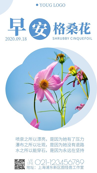 简约风早安日签格桑花励志