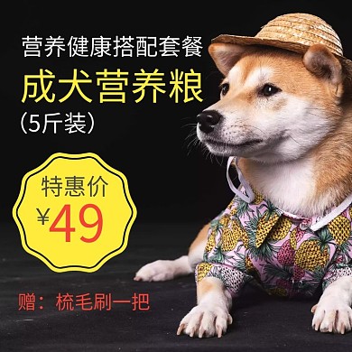 狗粮健康营养套餐5斤