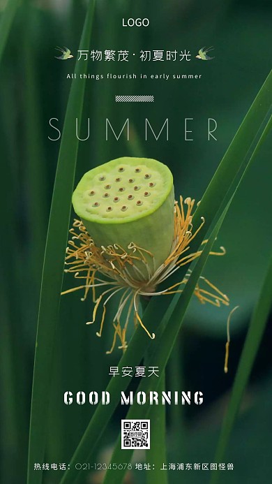 初夏问候绿色风景简约风摄影图海报
