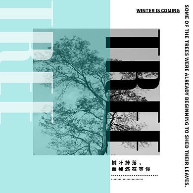 时尚黑白照片半透明色块欧美风CD封面