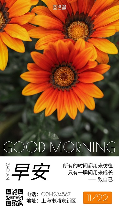 向日葵摄影图早安励志手机海报