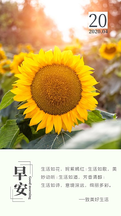 致美好生活日签早安你好