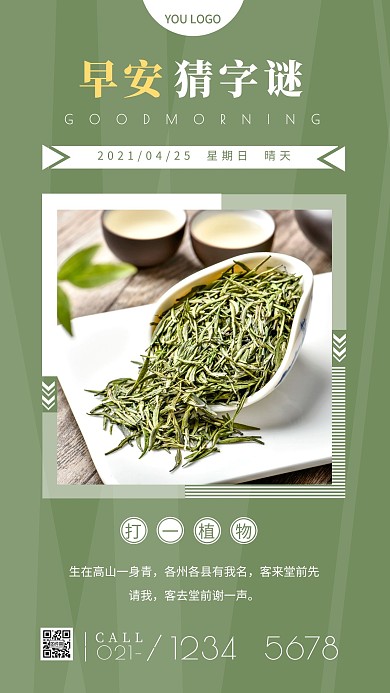 简约摄影绿色清新早安猜字谜茶叶生活日签