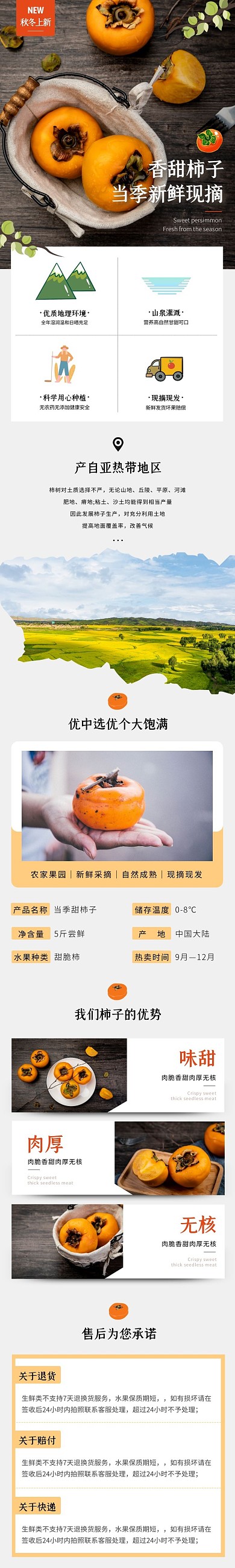 柿子简约手绘橙色秋季上新详情页