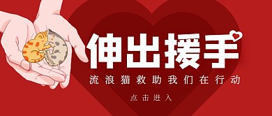 伸出援手公众号首图流浪猫