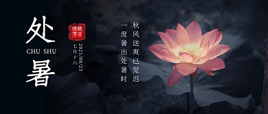 今日处暑节气荷花简约公众号首图