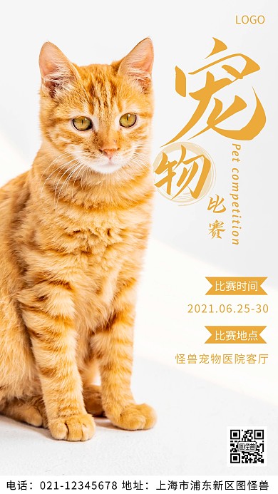 摄影图宠物比赛通知白色简约风摄影图海报
