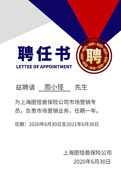 白色商务简约保险公司聘书