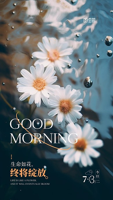 早安日常问候祝福摄影图宣传AIGC海报