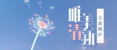 唯美小清新文案摘抄简约首图