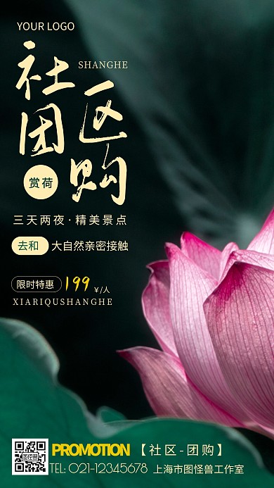 摄影图赏荷社区团购价绿色简约风手机海报