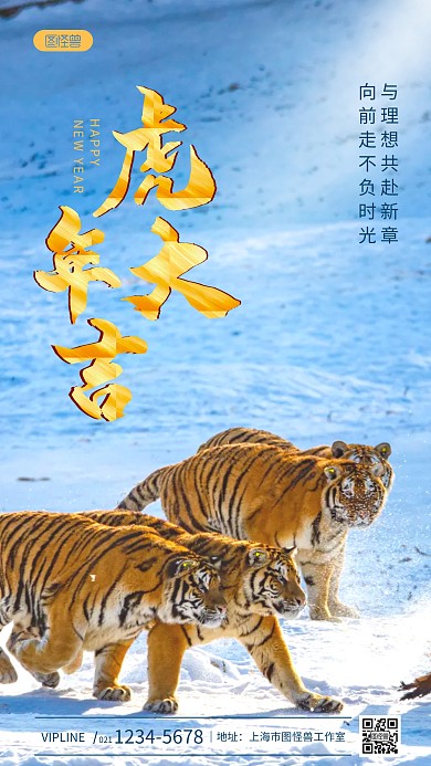 虎年大吉祝福简约风摄影图海报