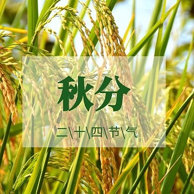 秋分公众号封面次图