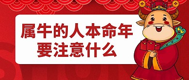 属牛的人今年要注意什么
