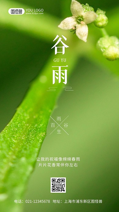 谷雨节气祝福摄影风手机海报