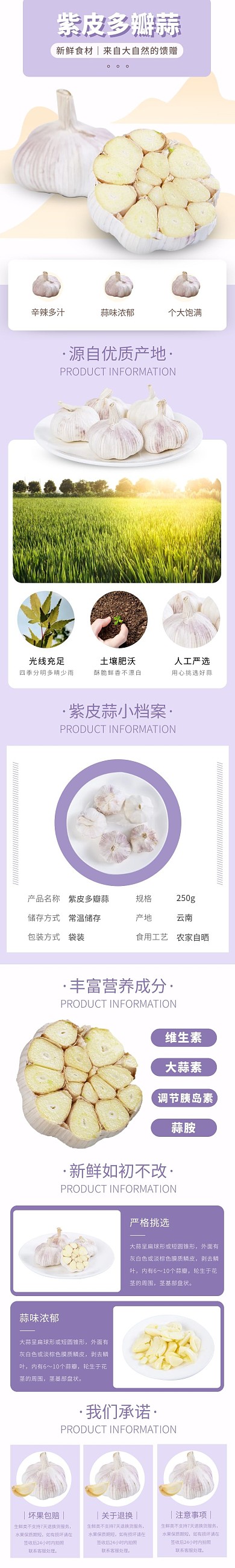 紫皮大蒜简约清新紫色食品详情页