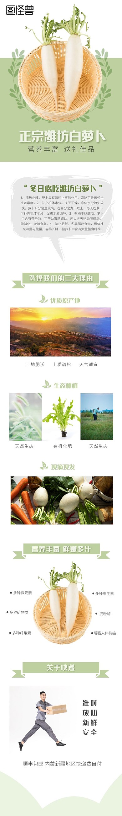 新鲜潍坊大白萝卜淘宝促销详情页