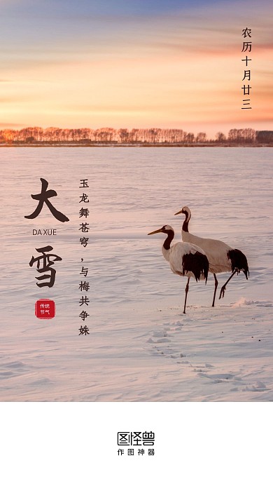 大雪传统节气摄影图简约启动页