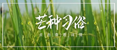 芒种习俗二十四节气简约摄影公众号封面首图
