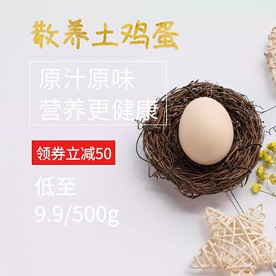 散养土鸡蛋地方特产土鸡蛋主图 促销折扣