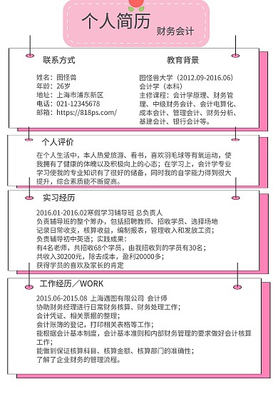 黑色粉色白色财务简约求职简历