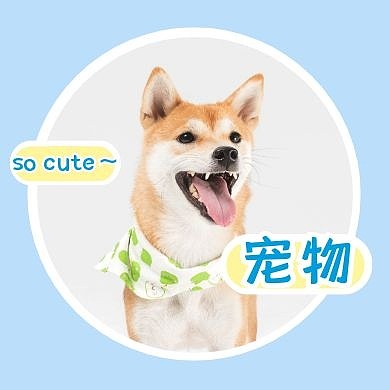 创意蓝色宠物公众号次图