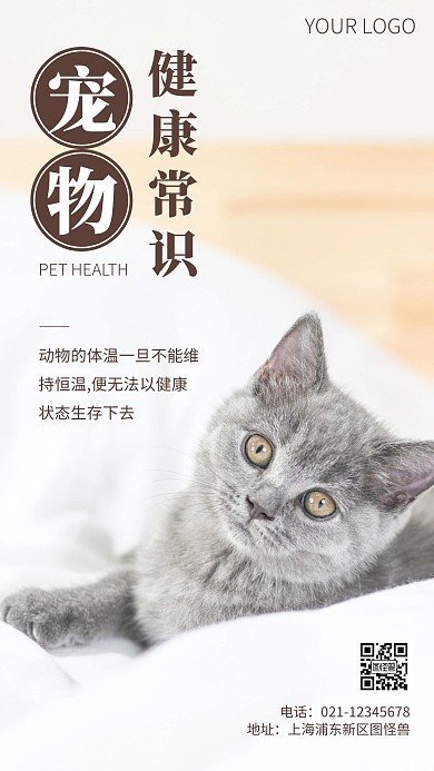 简约风宠物健康常识摄影图海报